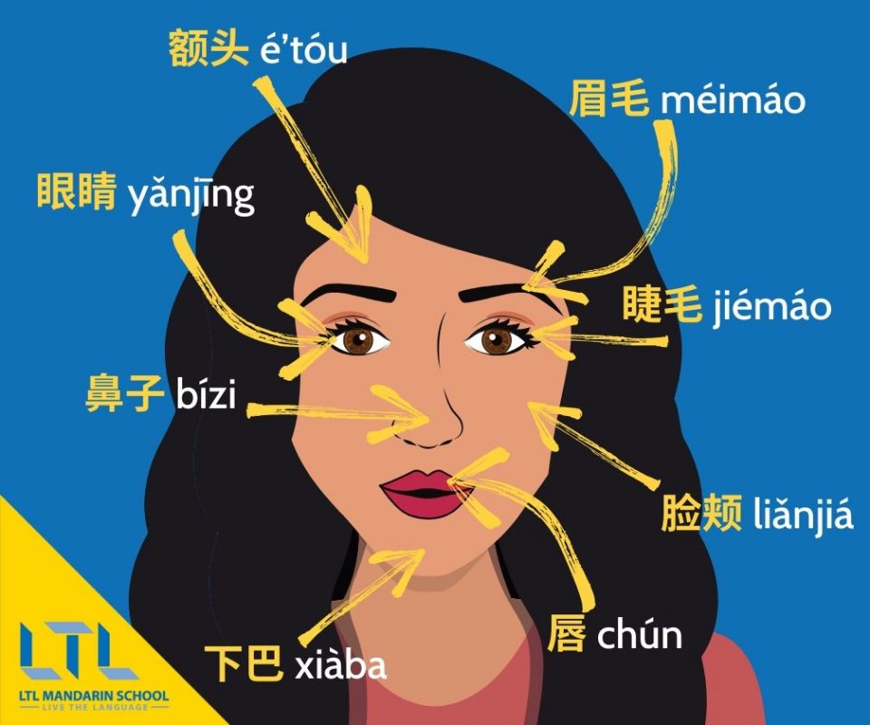 Maquillage en chinois - parties du visage