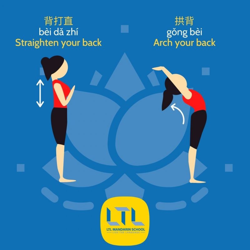 Yoga Poses in Chinese
