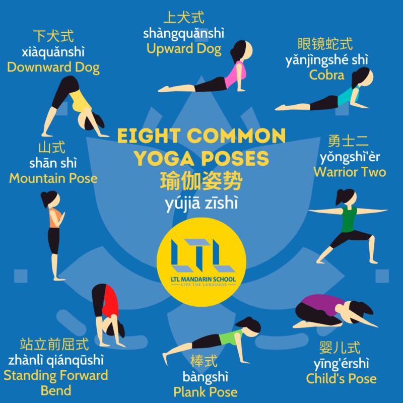 Yoga lingo for beginners - Ekhart Yoga