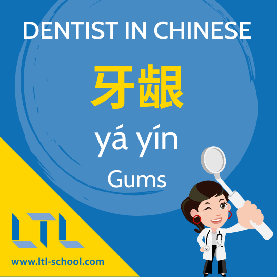 Gums in Chinese
