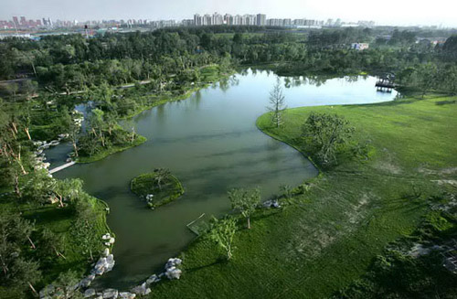 summer-in-Beijing-Olympic-Forest-Park